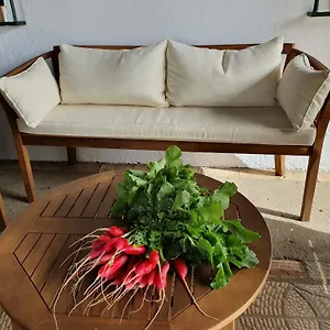 Sevilla, Olivares Сasa de vacaciones Olivares (Seville)